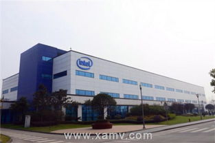 機器視覺與工業(yè)機器人在智能制造中的應(yīng)用——維視智造技術(shù)服務(wù)探索